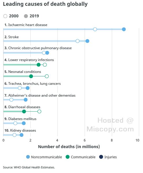 Top 10 Causes of Death According to the World Health Organization (WHO)